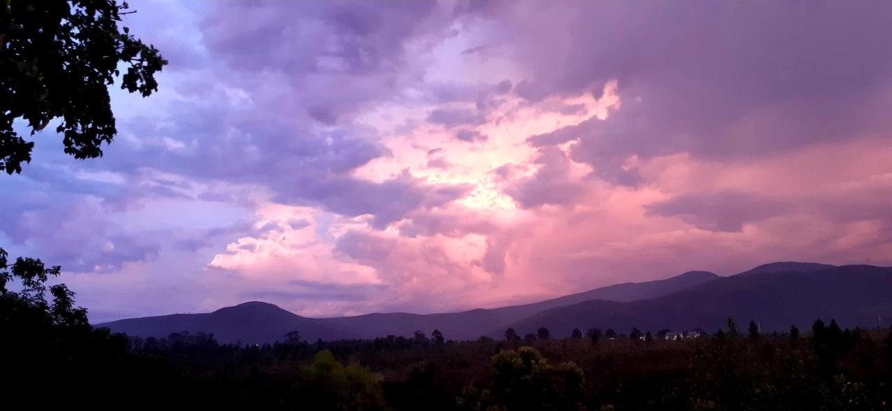 Colourful Bnb The Crags Luaran gambar