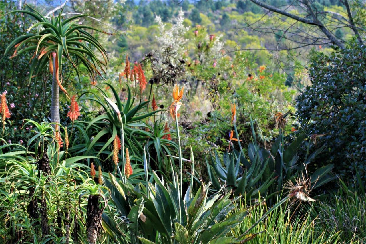 Colourful Bnb The Crags Luaran gambar