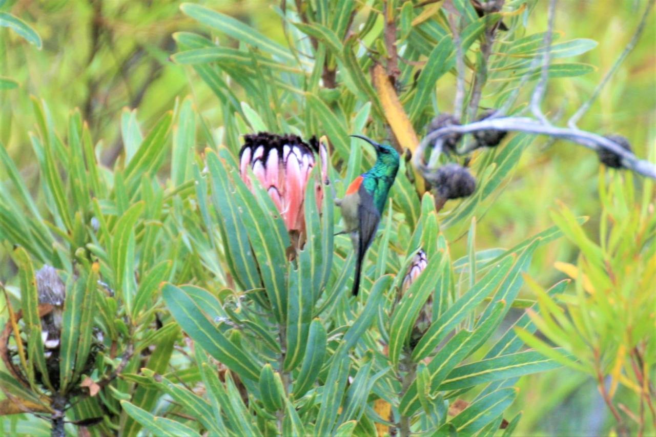 Colourful Bnb The Crags Luaran gambar